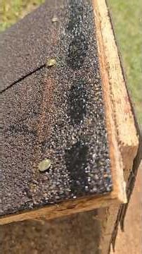 Same Shingle… One Will Seal, One Won’t