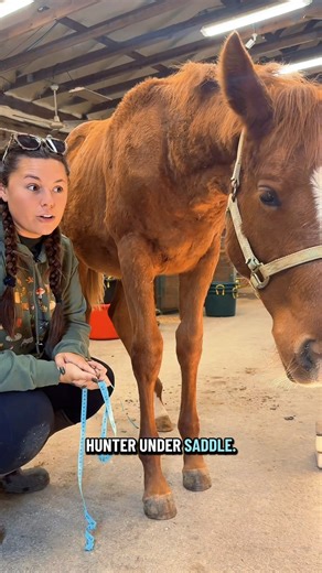 Let’s string test Millie!🐴❤️ | Katie Van Slyke