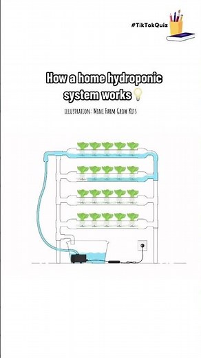 #build #your #gardening #diy #home