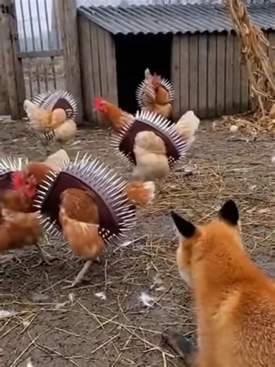 Курицы терминаторы #вирусноевидеовтикток #viralvideo #смешно #fypシ゚ | Robot Chicken Funny Scenes