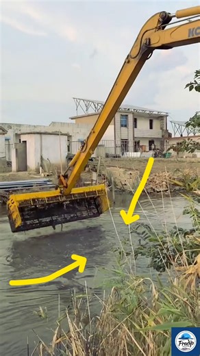 Dredging Irrigation Canals & Fishing with JCB Machine Amazing Village Work & Big Fish Catch #shorts🐟
