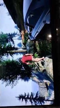 Who said that Ps3 can't run gta 5 properly?