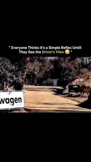 NexiClipsHub on Instagram: "🔥 One of the Greatest KOs in MMA History 🔥 On January 24, 2009, the MMA world froze for a split second at Affliction: Day of Reckoning inside the Honda Center in Anaheim 🏟️🥊. Two heavyweight icons stood across from each other — Fedor Emelianenko vs. Andrei Arlovski — and what followed became legend. Arlovski came out sharp, confident, and aggressive. He was landing clean shots, moving well, and looking dangerous early 👀⚡. Then came the moment that changed everyth