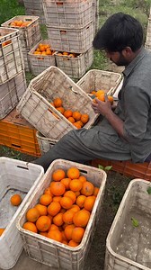 🎶💕 | KMC Fruits