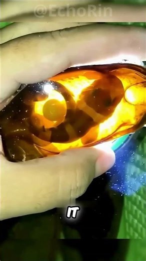 He Found a Strange Egg… Then THIS Happened! 🦈🔥