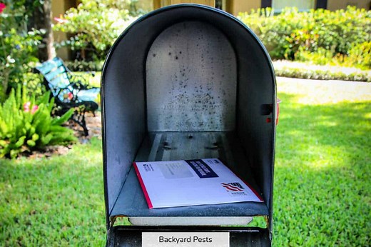 Do Snails Really Eat Paper? Let's Find Out...