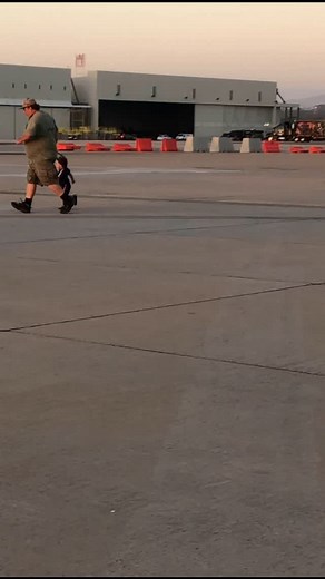 202K views · 366 reactions | Child leashes: effective safety measure or overbearing parenting? • • • • • • • • • (Follow @kidsgettinghurt and click the link in our bio to submit your video) | Kids Getting Hurt | Facebook