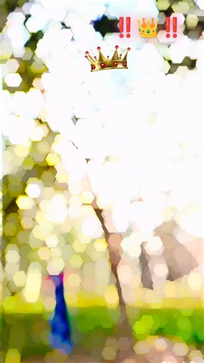 ♥️tractor ♥️ lover ♥️ mere chahane Wale bahut hain on Instagram: "#‼️hamke😈 Judaai👑 ke 🖕Java ⚔️Kahan"