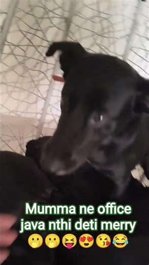 mumma ne office nathi java detu merry #funnymoment #funny voice