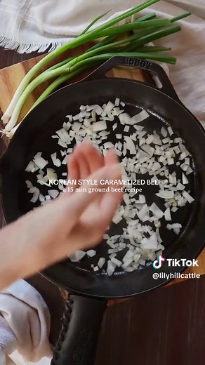 Part 1 of a new series, my top 10 favorite ground beef recipes. Korean Style Caramelized Ground Beef Ingredients: 1 lb of ground beef (80/20) 1/2 an onion chopped 1/4 cup of soy sauce 3 tbsp of light brown sugar 2 teaspoons of sesame oil 1/2 teaspoon of crush red pepper flakes 1/4 teaspoon ground black pepper 1/4 teaspoon ground ginger Directions: In a small bowl, mix soy sauce, sugar, oil, chili flakes, black pepper, and ginger. Set aside. Saute onion, then brown ground beef in cast iron skille