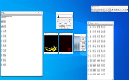 Fiji ImageJ 第16讲——时间序列图像的荧光强度定量