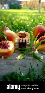 Peach kernel oil and supplements. Selective focus. nature.