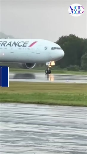 Incident du vol AF 895 d'Air France : détails clés