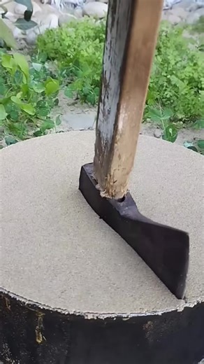 Top Novel Recommendations You Should Read