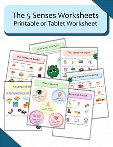 Explore the Five Senses With This Fun and Creative Worksheet for Kids: Science, Smell, Touch, Taste, Sound - Etsy UK