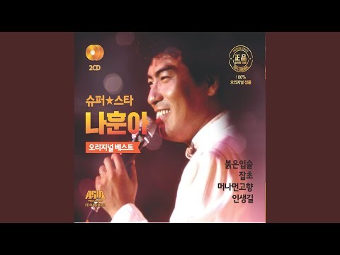 평양아줌마