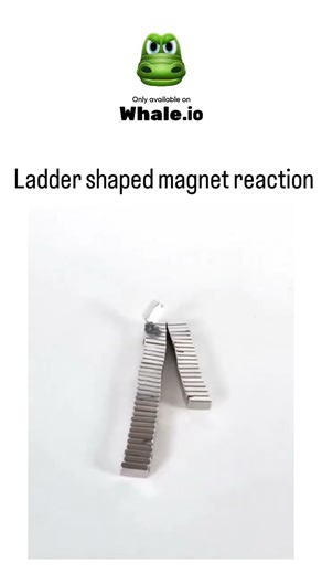 Neodymium magnets form ladder chains. #Magnets #Physics #Science