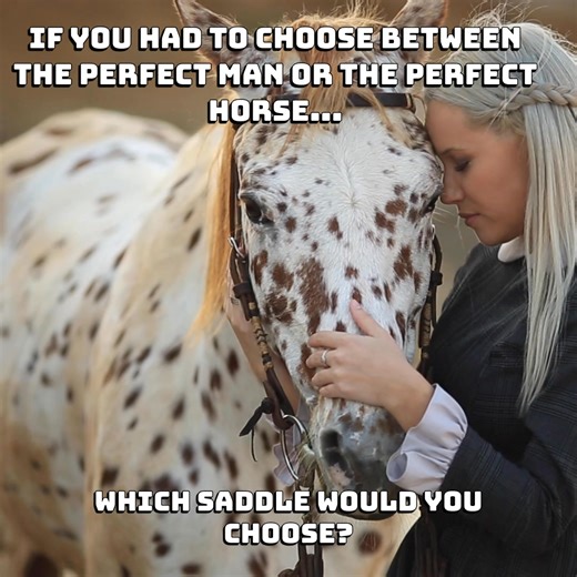 Which saddle are you choosing? | Horse Sense