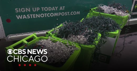 Recycling, composting services offering to take unwanted holiday trees, lights