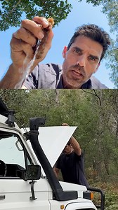 ✅ I’ll be giving more tips during my survival talk at the @Adelaide4WDAdventureShow https://adelaide.4wdshow.com.au. Use code OUTBACKMIKE for cheaper adult tickets. ⚠️ These are emergency techniques for dangerous situations. Don’t drink water out of your wiper fluid bottle or aircon drain for s**ts & giggles. 🌱 Desert adapted plants have small narrow leaves (like mulga). They transpire less water so you need more bags to get the same amount of water. #survivalskills #waterforlife | Outback Mike