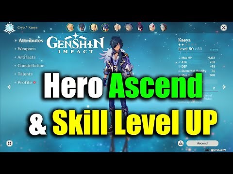 Genshin Impact Hero Ascend & Skill Level Up