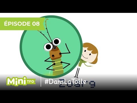 #DansLaToile | Un avatar | Sur TFO