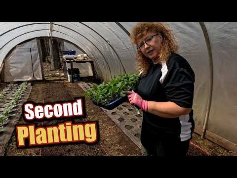 This week's Garden Journal – April 9 | Succession Planting Broccoli in the Greenhouse