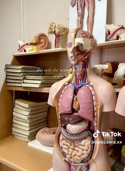 Become a Physician Assistant: Journey to Success