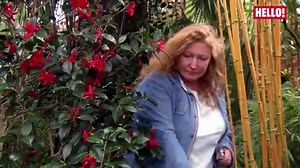 Garden Rescue star Charlie Dimmock looks so different in throwback photo
