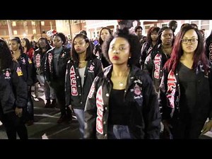 Delta Alpha Chapter of Delta Sigma Theta Midnight Stroll
