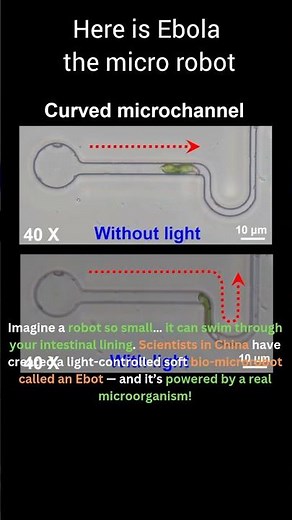 Light drive micro robot