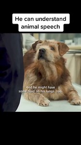 4.3M views · 176K reactions | Best man friend | Touch life Network | Facebook