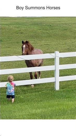Kid Summons Horses 😍