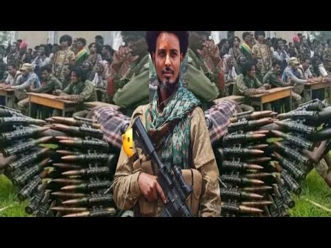 ነጋሽነው አማራ ስለፋኖ ዝና እኔም ልመስክር ተለቀቀ የፋኖ ሙዚቃ መላው የአማራን ሕዝብ ከጫፍ እስከ ጫፍ ያነቃነቀው ሙዚቃ New Ethiopian Music |