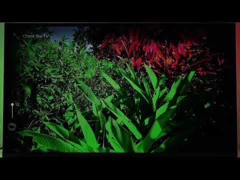 PHILIPS 32PFS6939 - How to Access Self-Diagnose Menu