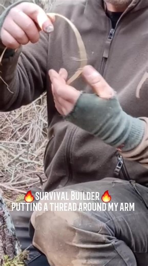 Outdoor Survival Techniques Revealed | Explore Bushcraft Adventures