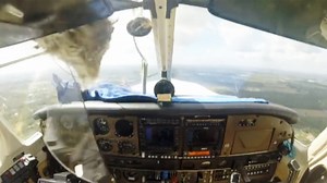 Camera Catches Mid-Air Bird Strike