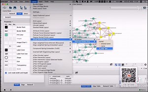 cytoscape使用技巧1~选点圆形分布