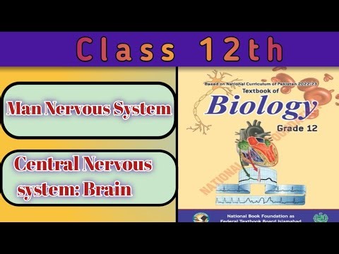 Central Nervous System | Brain & Its Parts | Cerebrum Explained | NBF Class 12th