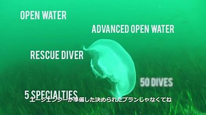 8.7K views · 33 shares |...