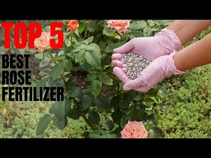 🌿 TOP 5: Best Rose Fertilizer | Fertilizer for Rose Plant 🌿