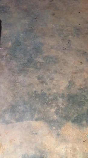 Abayomi ayotunde on TikTok