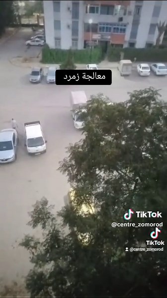 Vidéos de زمرد طاردة الظلال (@centre_zomorod) avec son original - زمرد طاردة الظلال