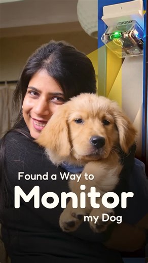 STEMpedia on Instagram: "Built a DIY smart security camera using Quarky Intellio 📹🚀 It simplifies life of all ESP32 cam users. Live streaming, recording and pet monitoring powered by coding. Imagine what students can build with this! 💬 Comment INTELLIO to get the product link diy security camera, pet camera, dog camera, pet monitoring camera, esp32 cam, esp32 security camera, esp32 camera project, diy cctv, smart home camera, iot camera, wifi camera, ip camera, live streaming camera, home sur