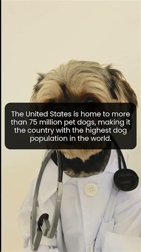 The incredible truth behind America's 75 million pet dogs
