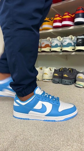 Nike Dunk Sneakers Collection