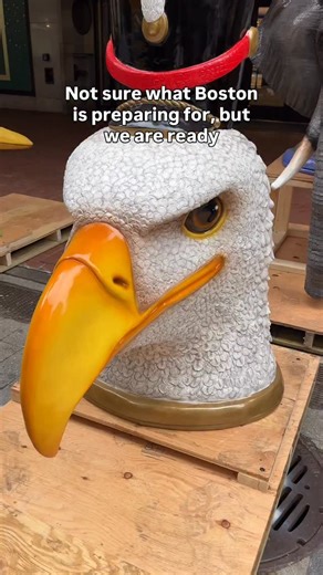 There’s a lot going on here🦄#mybostonuncovered #meme #sarcasm | Boston Uncovered