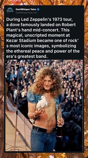 Robert Plant and the Led Zeppelin Dove(1973)