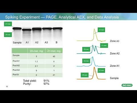 Purification of DNA Oligonucleotides using Anion Exchange Chromatography