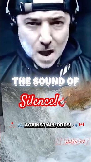 THE SOUND OF SILENCE - DISTURBED (Cyril Mix)🎸🔥 #shorts #nhedtv #salmonrun